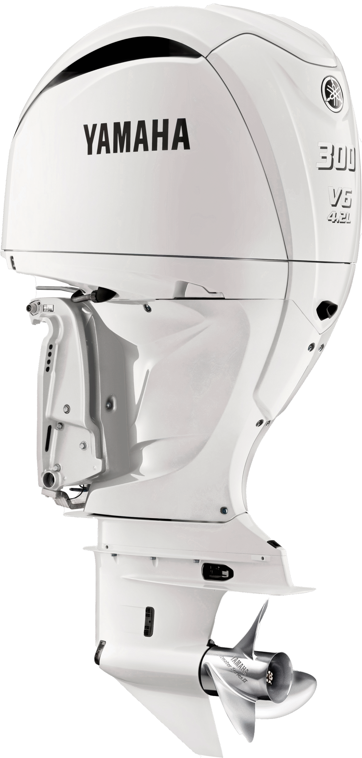 Yamaha F300G