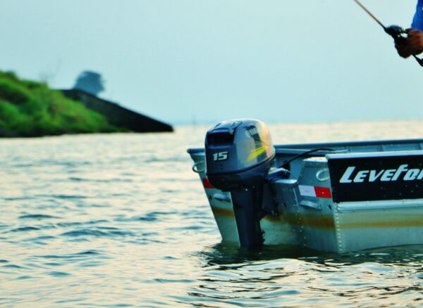 15HP 2 Tempos - Imagem 4