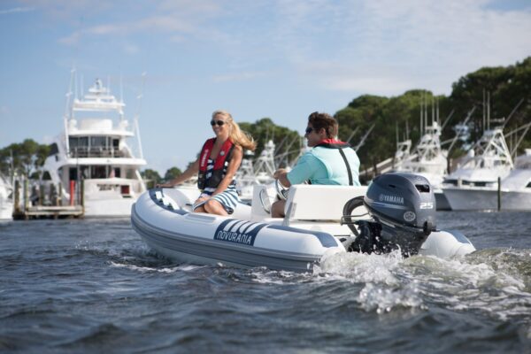 25HP 4 Tempos - F25G - Imagem 3