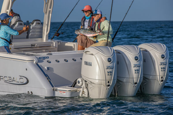 350HP 4 Tempos - F350B - Imagem 6
