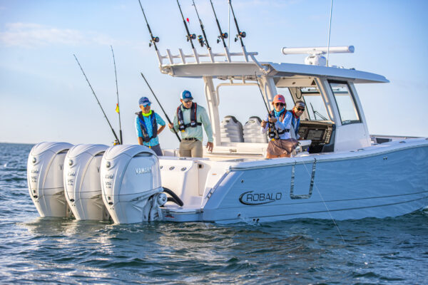 350HP 4 Tempos - F350B - Imagem 2