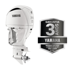 300HP 4 Tempos – F300G