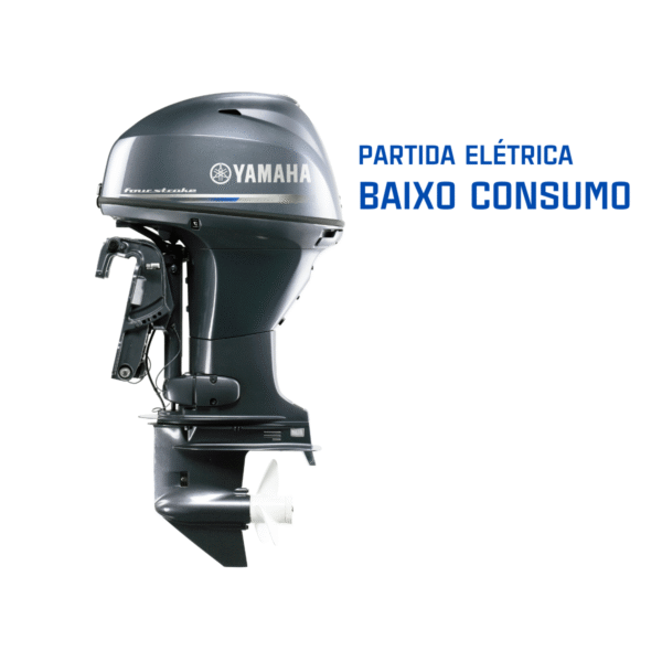 40HP 4 Tempos - F40 - Imagem 4